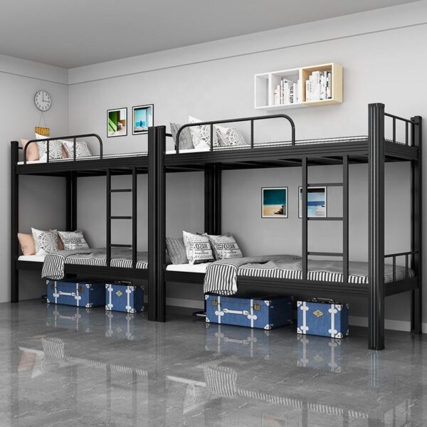 Modern adult metal bunk beds with ladder