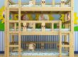 Solid wood triple bunk beds for kindergarten nap rooms