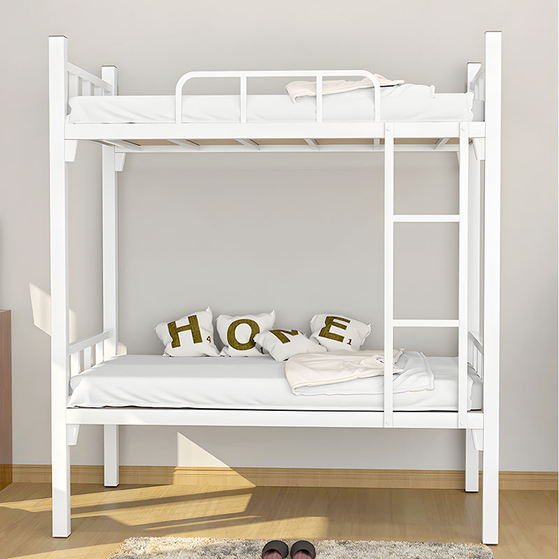 Modern Metal Bunk Bed with Ladder for School and Home