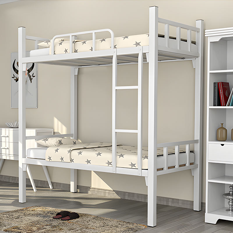 Modern Metal Bunk Bed with Ladder for School and Home