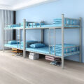 Modern Metal Bunk Bed with Ladder for School and Home