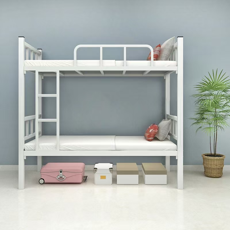 High Quality Modern Steel Metal Bunk Bed for Dormitory